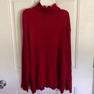 Karen Scott ll turtleneck